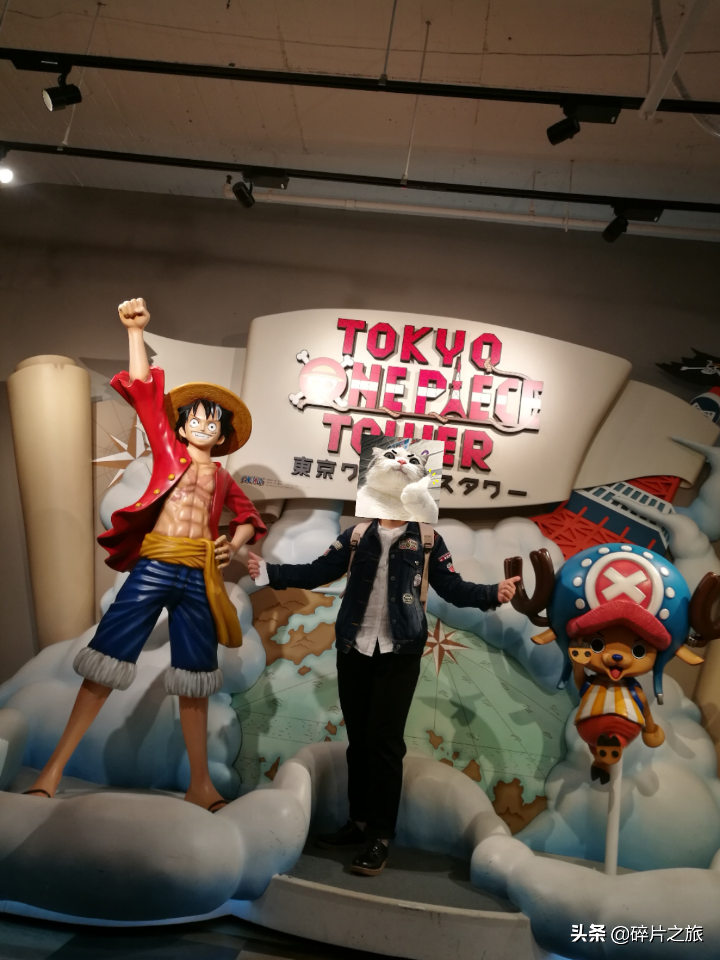 上海游轮去日本攻略,上海去日本的邮轮旅游攻略