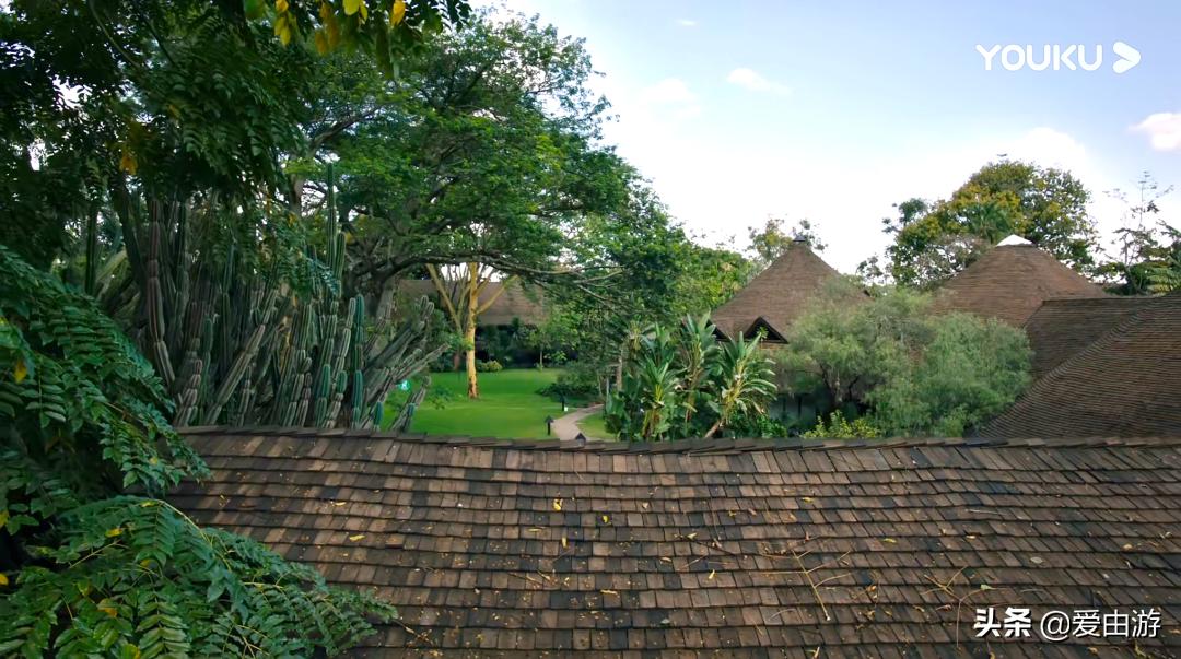 《猎狐》行动,200万能在非洲挥霍一生吗?