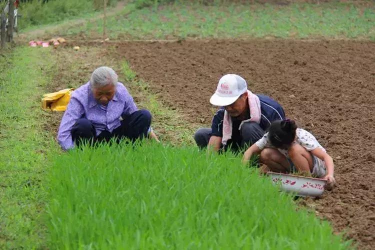 简单易学六个动作远离腰酸背痛,每天6个动作远离心脏病