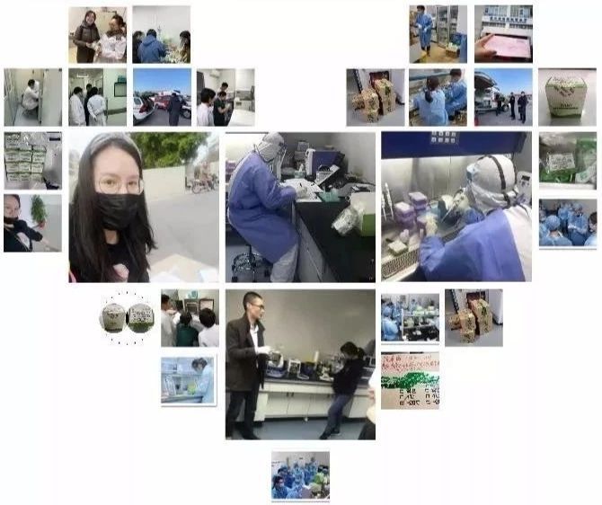 卓诚惠生新冠核酸试剂,北京卓诚惠生核酸检测试剂