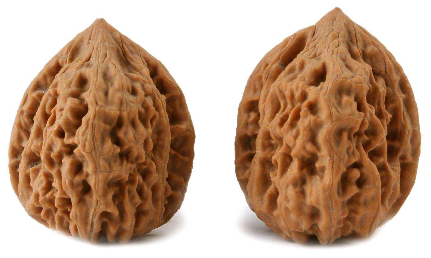 文玩核桃的5大问题,连文玩核桃的这7个误区都不知道