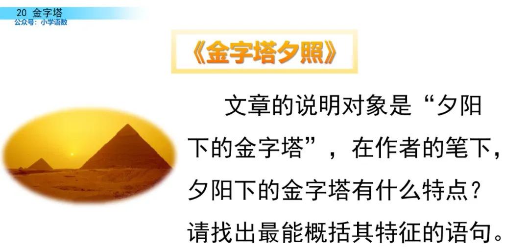 部编版五年级下册语文金字塔教案,语文书五年级下册第20课课后练习