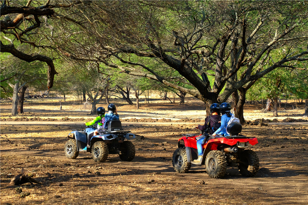 毛里求斯陈小春,毛里求斯马克吐温