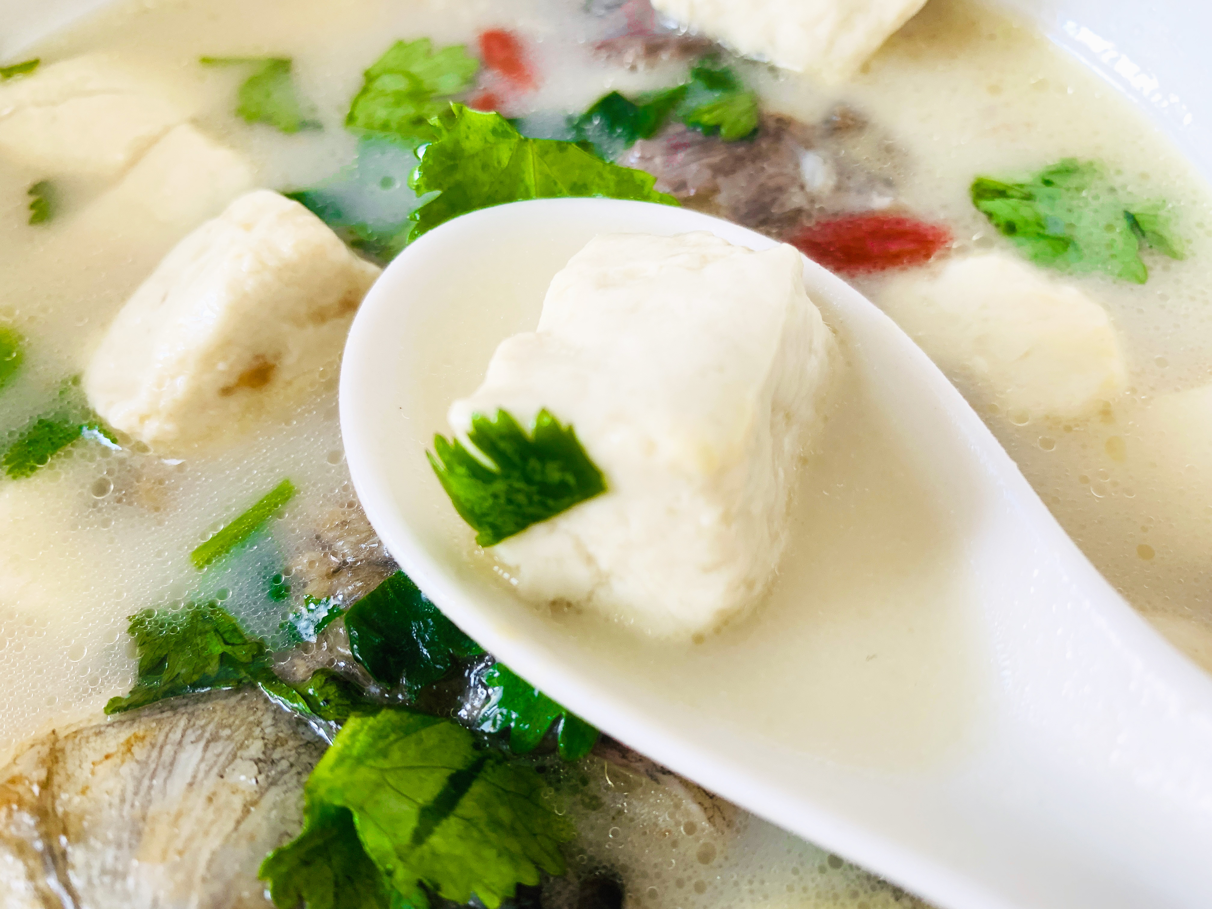 鱼汤的做法鲫鱼炖豆腐放什么材料,鲫鱼炖豆腐豆腐怎么更入味