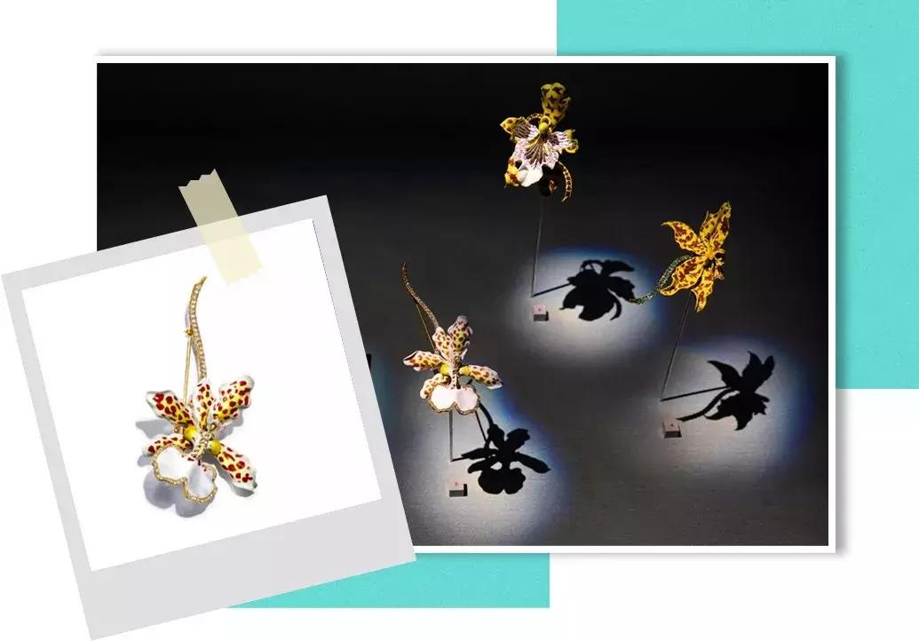 tiffany最美的时光,tiffany的美好时光