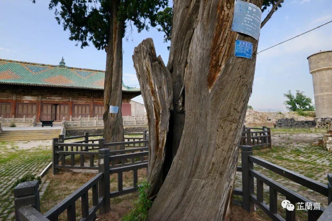 崞阳文庙历史价值,崞阳文庙