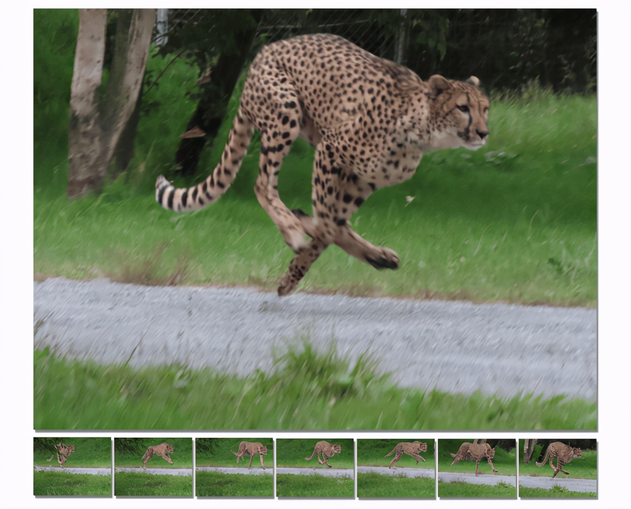 佳能1000倍变焦望远镜,真会玩在线观看