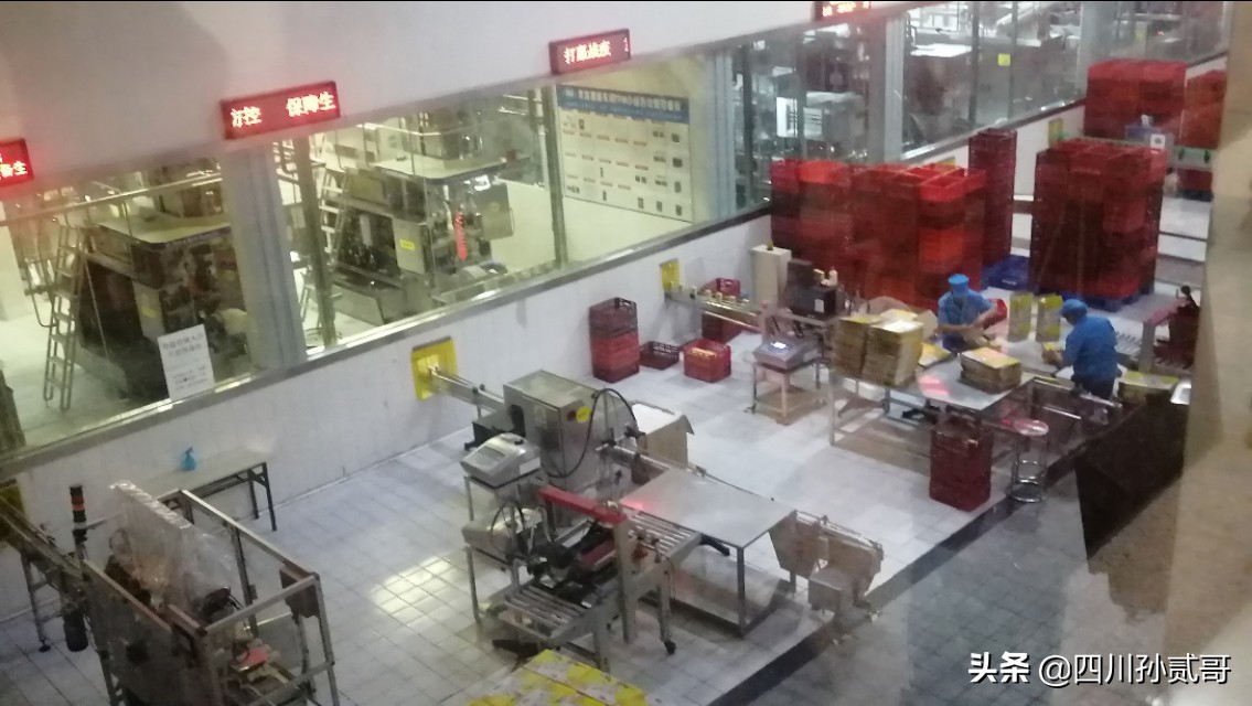 雪宝奶牛场,参观雪兰牛奶工厂心得体会