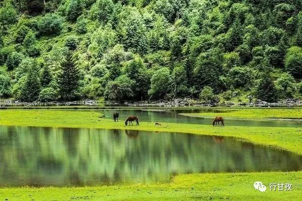 有人说,如果在10月错过了莲花湖,就相当于错过了整个秋天