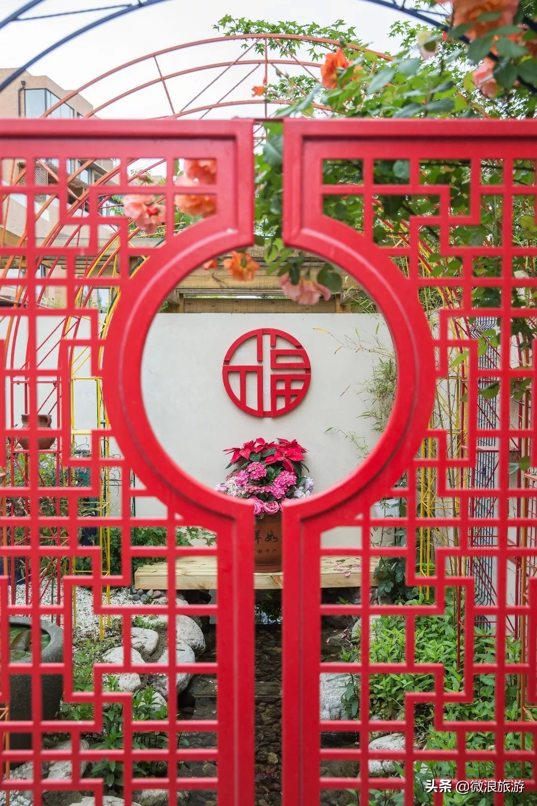 白鹭湾的“选美大赛”，谁是你心中最美的“姑娘”