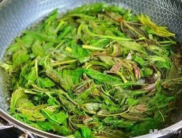 香椿炒鸡蛋正确做法先别着急下锅,香椿炒鸡蛋用不用先把香椿煮一下