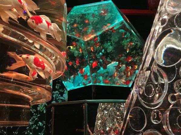 日本网红打卡艺术展,日本十大网红展