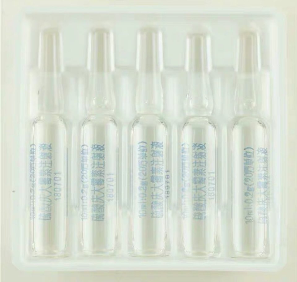 柴犬病的表现,日本纯种柴犬