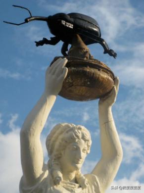 密封的米面为啥出现小虫,米面怎么不生虫