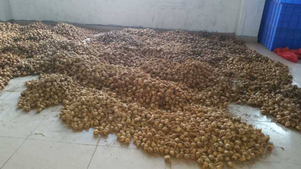 智能恒温热泵烘干机,空气能热泵烘干机可随意恒温