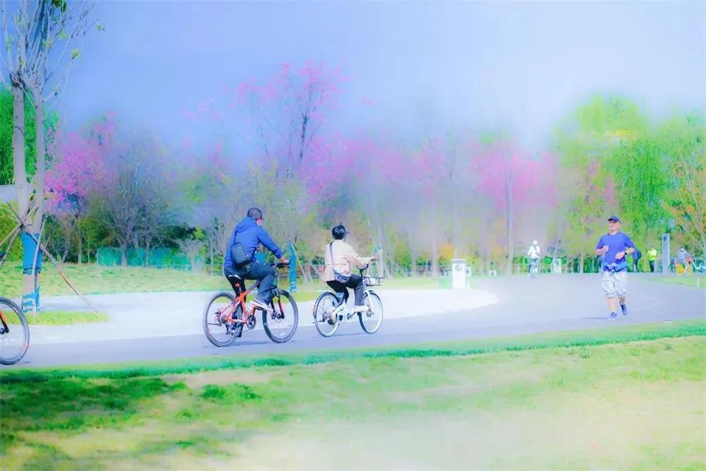 大理人民幸福感高的原因,在大理生活快乐轻松吗