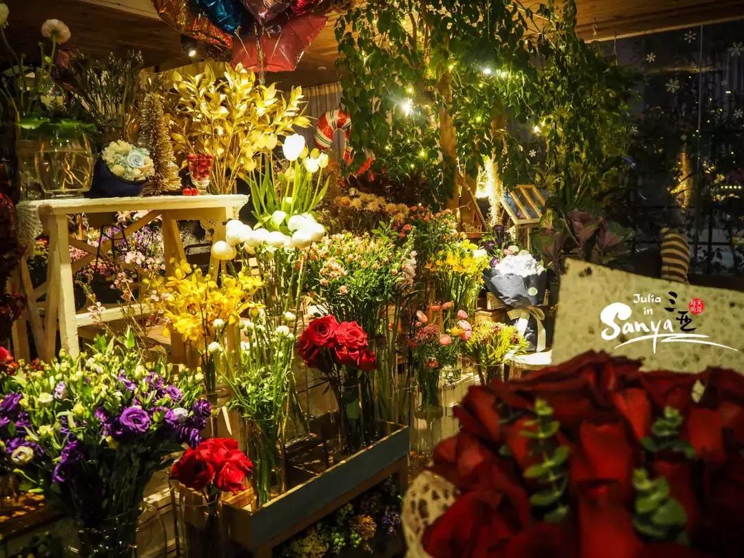 三亚5天4晚旅游攻略便宜,三亚旅游攻略1人