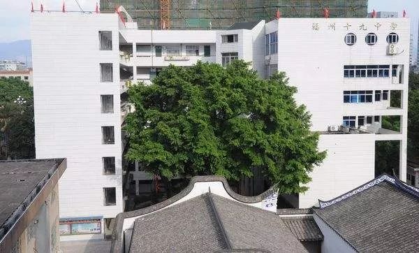 2021福州一三附老八所中考录取率,福州2021中考老八所录取率