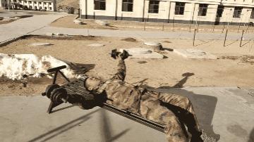 只要哑铃就够了1套动作锻炼全身,一对哑铃练全身二十七个动作图片