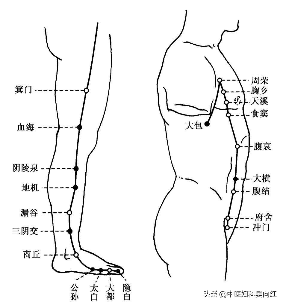 痛则不通最全经络图,痛则不通怎样才能通则不痛