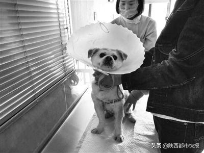 西安治疗尿结石比较好的医院,西安做尿结石手术的医院