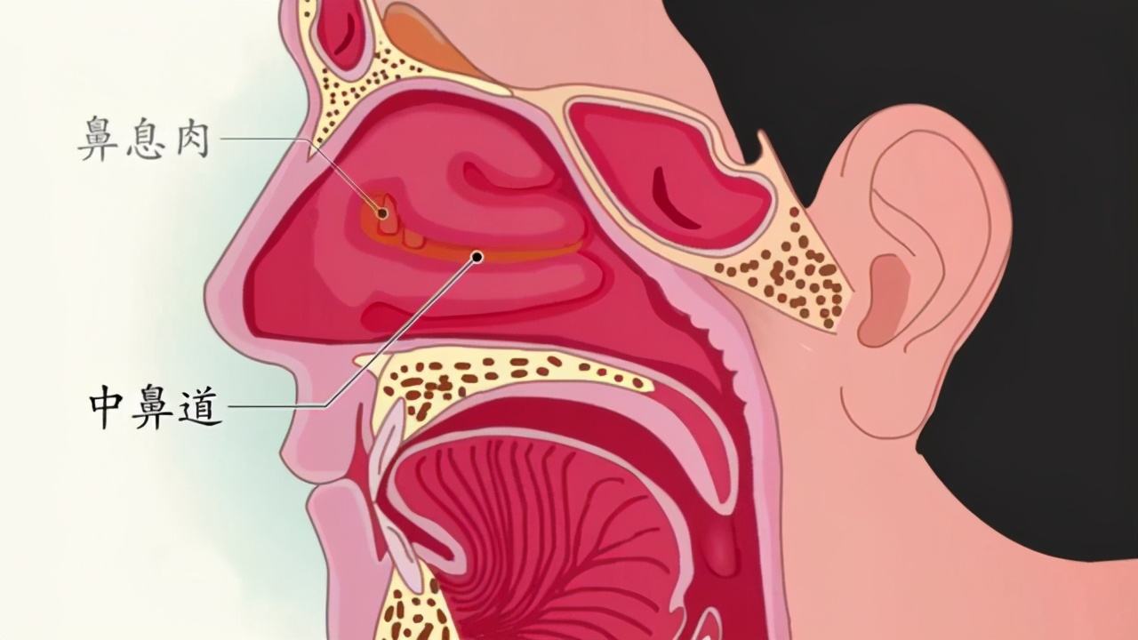 太危险男子独自爬野山被困悬崖,太惊险国外男子因安全帽躲过一劫