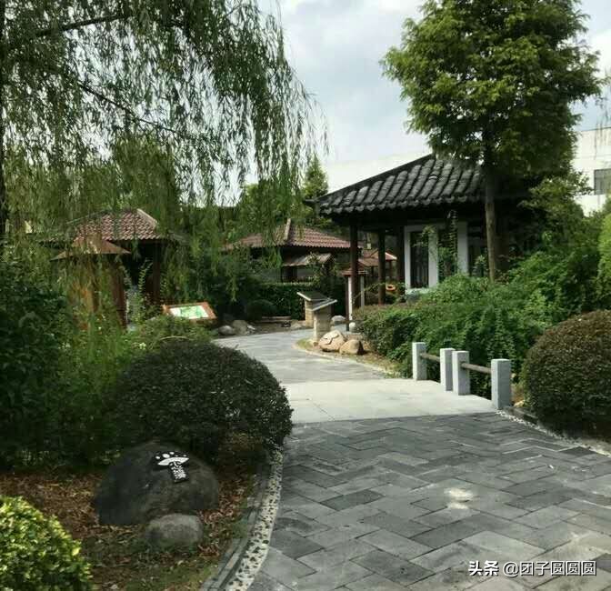 南京汤山温泉颐尚,南京颐尚温泉攻略