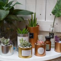 来武汉这几家颇具格调的小店玩耍,武汉的文艺小资小店