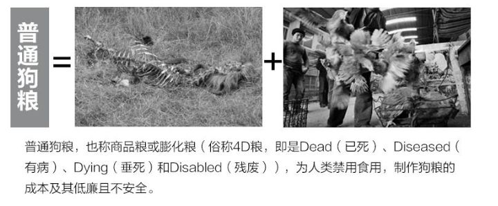 猫狗粮生产工艺,好的猫粮原料组成成分