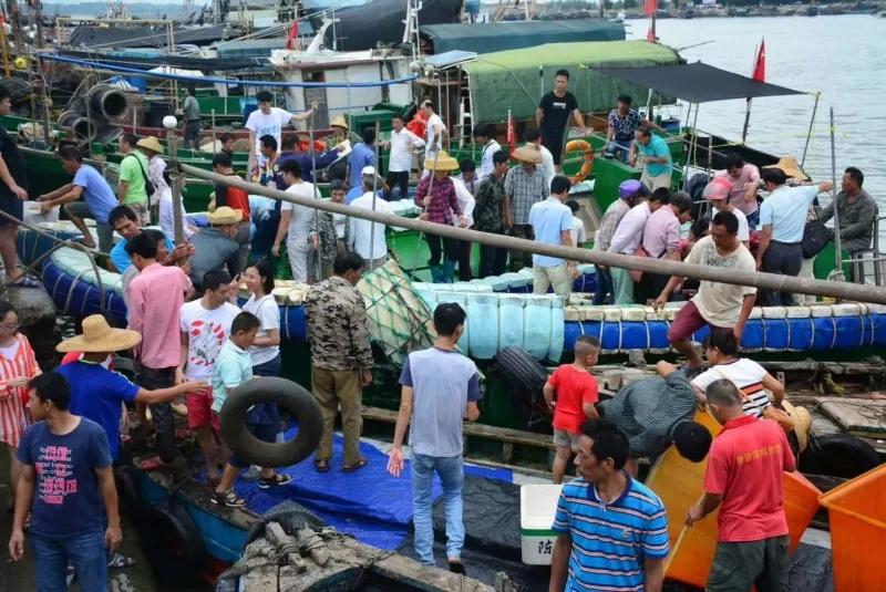 7月份的湛江海边有什么海鲜,湛江开海哪里海鲜便宜