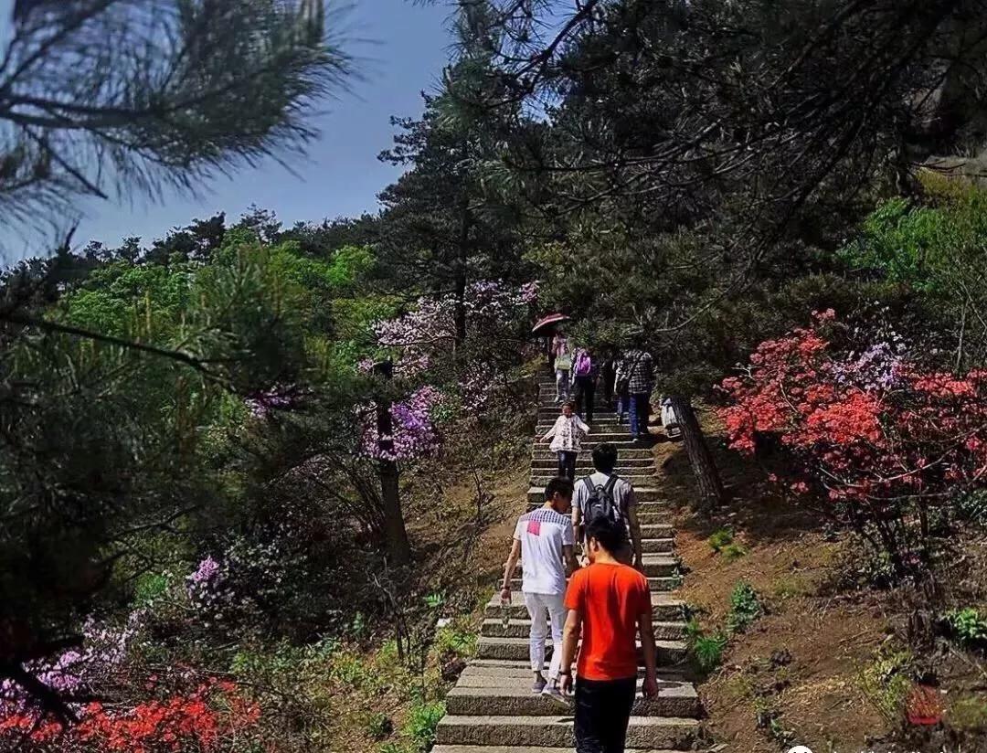 九华山旅游云海攻略,下雨天旅游九华山