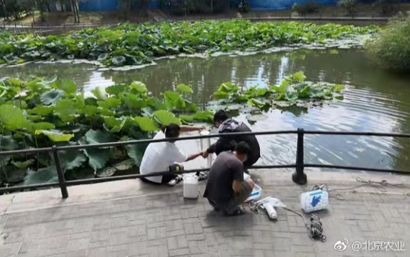 二本就业最差的专业,二本天坑专业出路