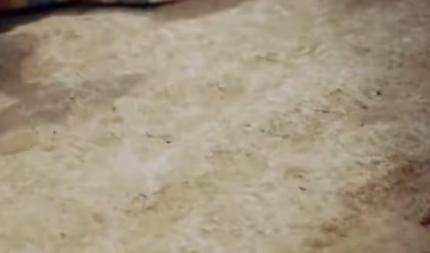 秦始皇究竟是怎么样的一个人,秦始皇陵的历史背景是什么