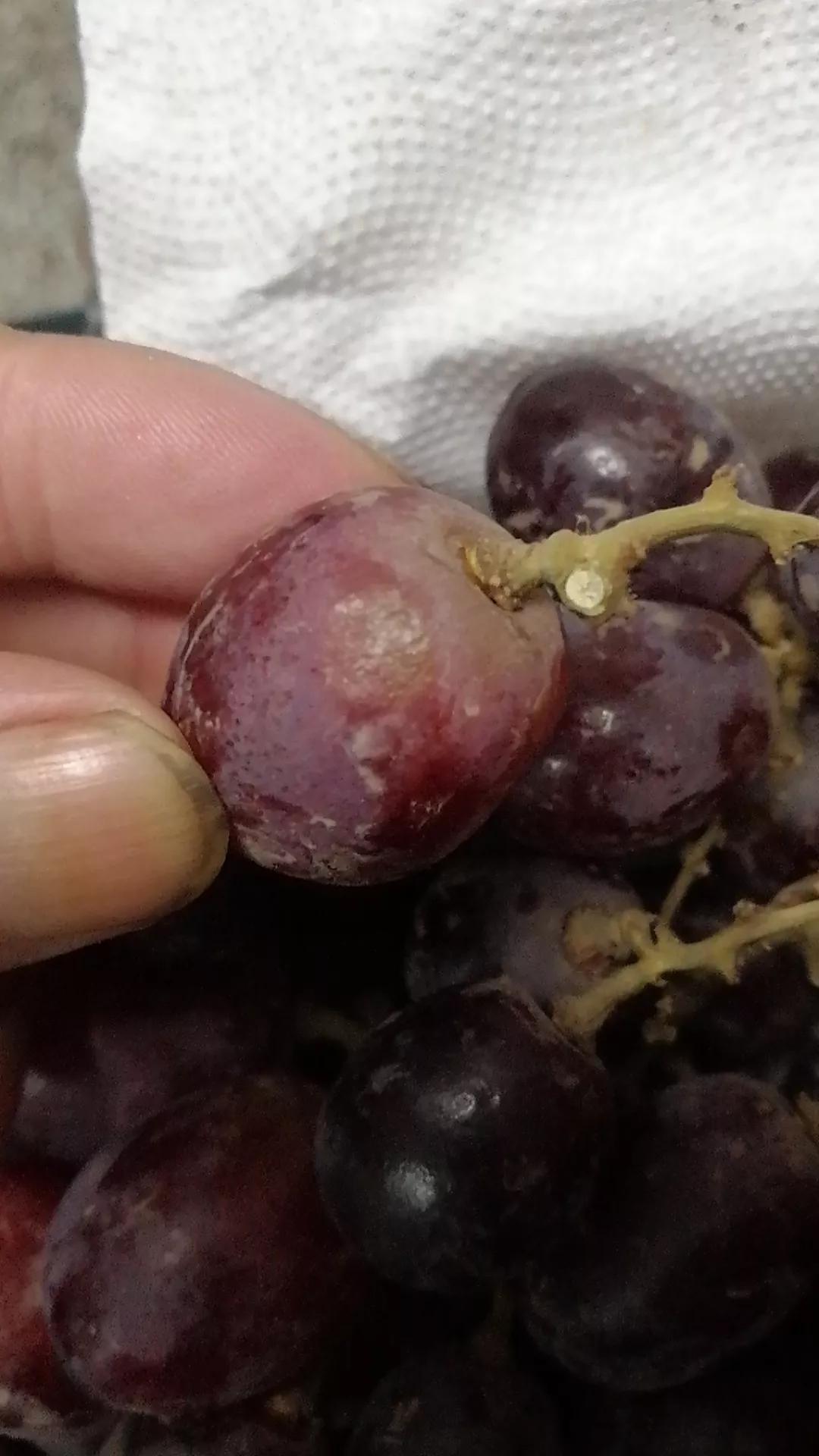 拼多多有哪些糊弄人的伎俩,拼多多的套路为什么那么深