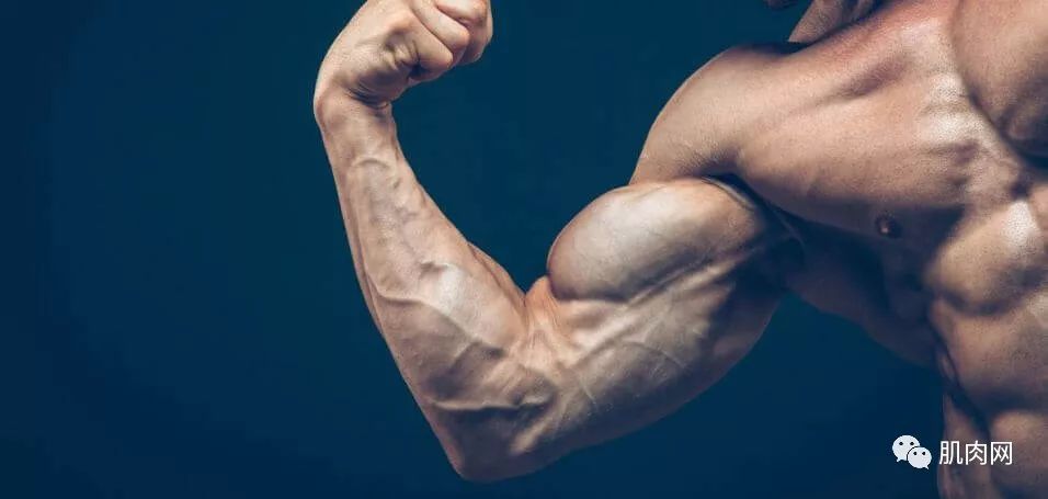 女生喜欢的腹肌vs不喜欢的腹肌,女生最喜欢腹肌类型