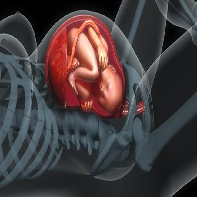 孕产说：37周了，宝宝偏小2周多，会不会推后出生？
