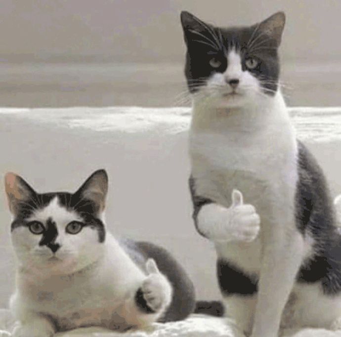 夏天到了有哪些防晒值得入手,高倍防晒夏天必备的防晒好物推荐