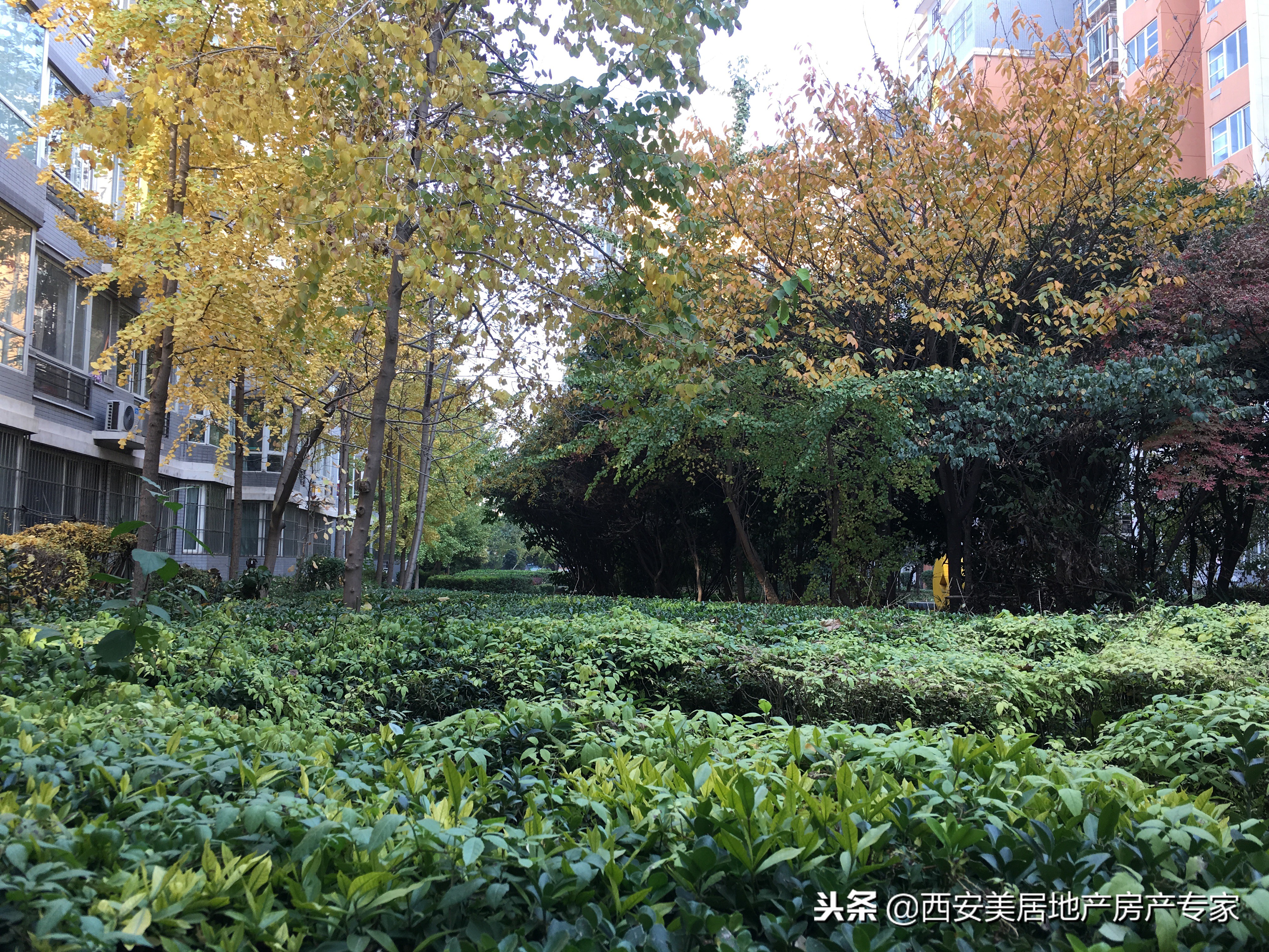 金桥四季花园,金桥花园小区怎么样