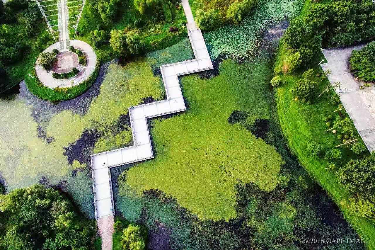 国立中央大学有几年历史,民国首批七所国立大学