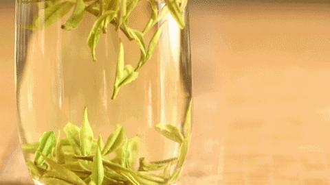 肖坑茶,是春天对爱茶人的馈赠