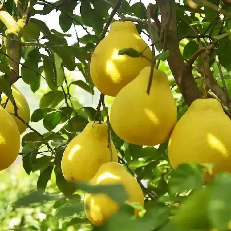 万元大奖征集,万元大奖征集广告语