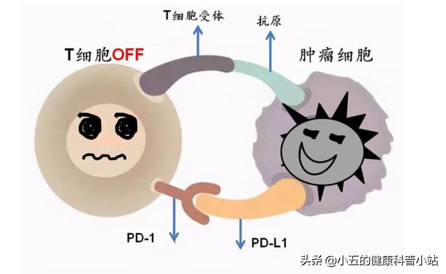 维生素c可以和维c银翘片一起吃吗,维生素c到底能吃几个