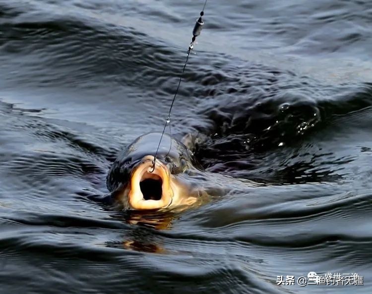 溜鱼老是切线?这两个小妙招你该看一下——盛世三渔