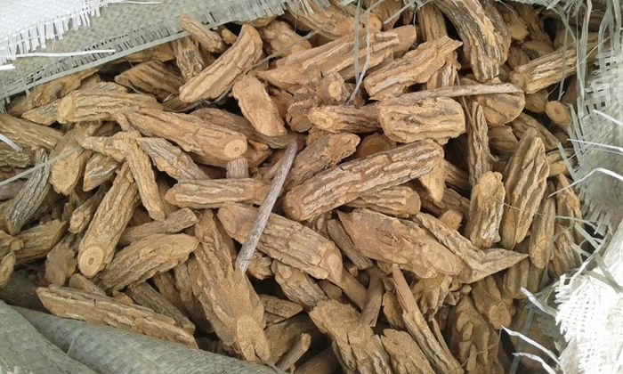 古代的毒药叫什么,中国古代十大毒药出自哪本书