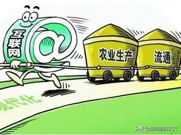 你不得不知道的农村电商创业项目,农村电商创业企业赚钱模式