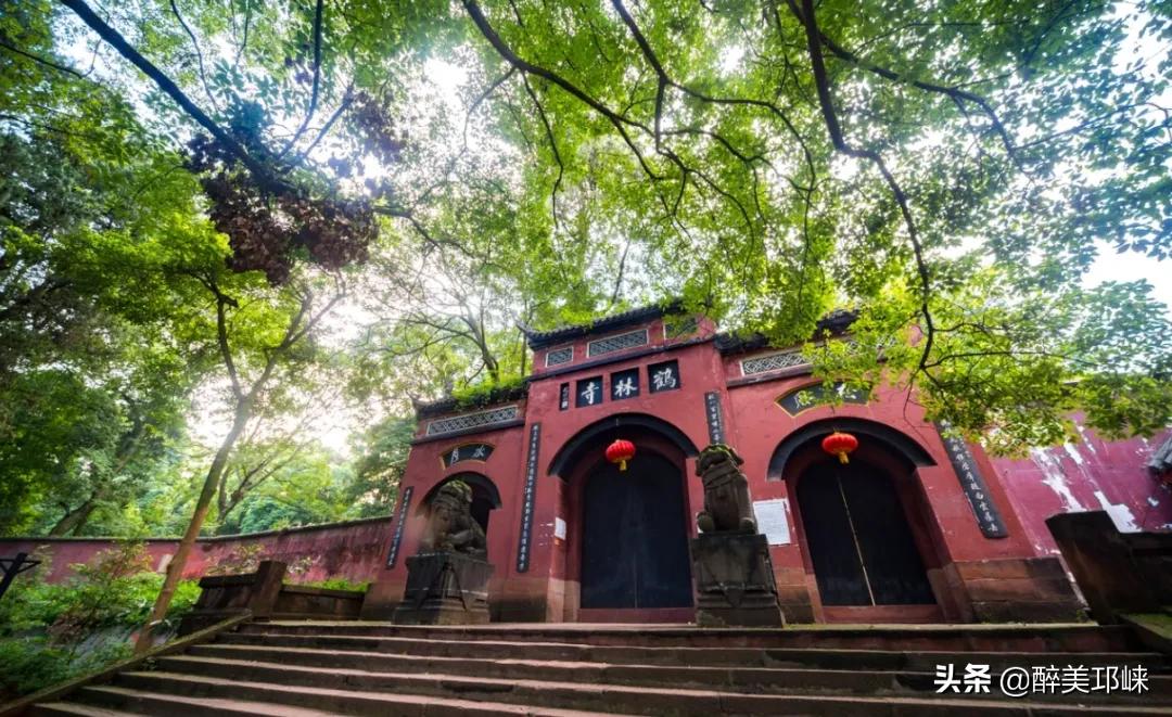 为什么有的人投资眼光很准,为什么越来越多的资本想投资酱酒