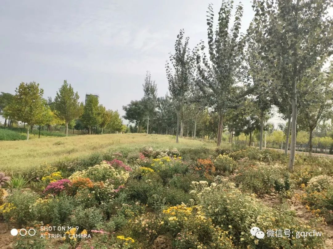 国庆人力资源,国庆期间人才市场招聘