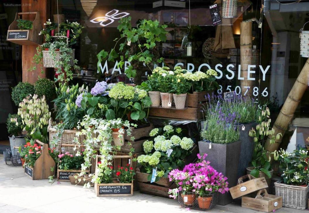 花店适合的特色名字有哪些,好听有意义的花店名字大全