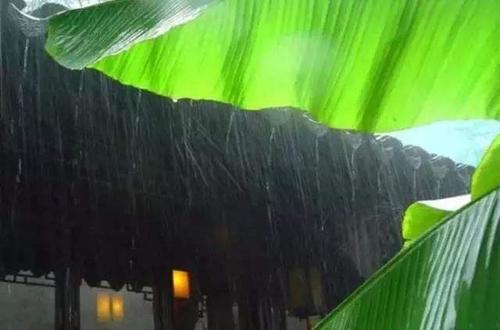 临江仙点滴芭蕉心欲碎朗诵,一日一诗词