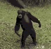 浙富控股，不想玩跨界的水电设备制造商不是好上市公司